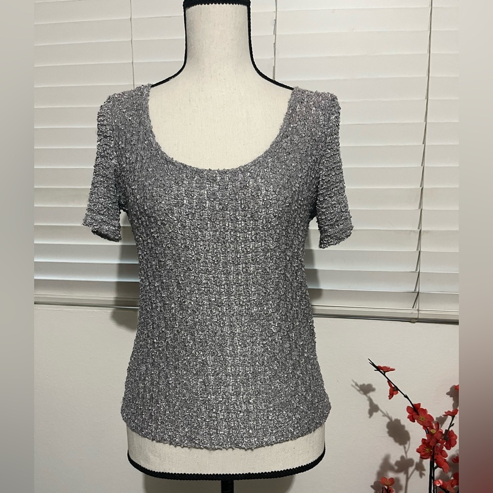 Silver Metallic Short Sleeve  Top